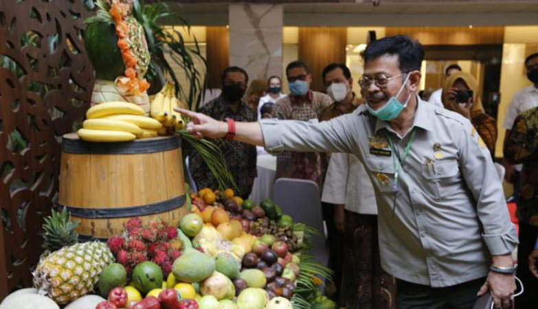 Mentan Syahrul Sangat Mendukung Ekspor Buah Berkualitas Indonesia