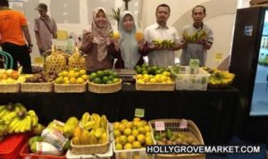 Buah Fresh Indonesia Maju ke Pasar Dunia