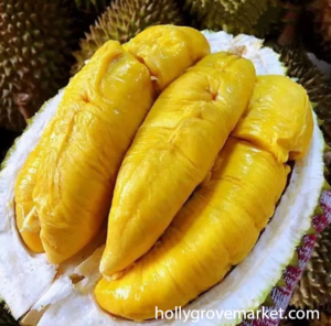 3 Tipe Komoditas Durian Yang Sangat Profitabel buat Bisnis