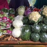 Cara Memulai Bisnis Buah dan Sayur Filipina