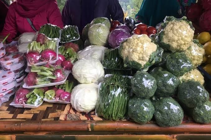 Cara Memulai Bisnis Buah dan Sayur Filipina